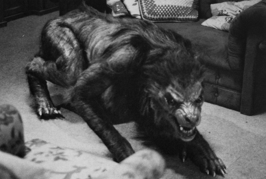 An American Werewolf In London’s editing when showing the werewolf was done really well, quick shots of the werewolf leaves a longer lasting impression if done right. I didn’t time it but I’m pretty sure monster gets less than a minute of screen time but it’s still effective.