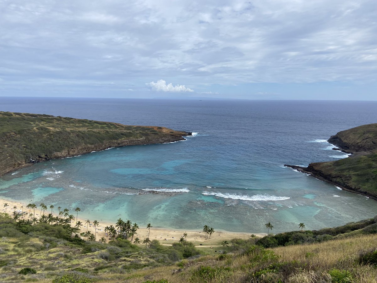 thedailydish's tweet photo. Where I’d rather be. #hanaumabay #hikeoahu #40trails https://t.co/BTROTRTZ4V