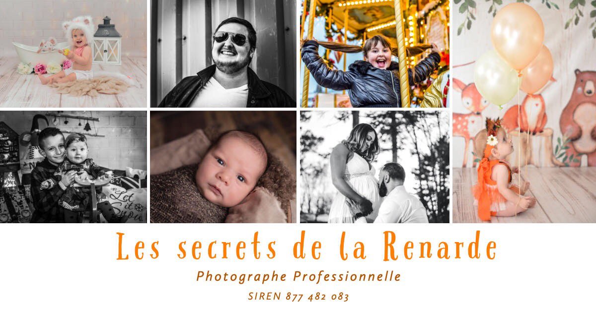 LesRenarde's tweet image. Aperçu portfolio