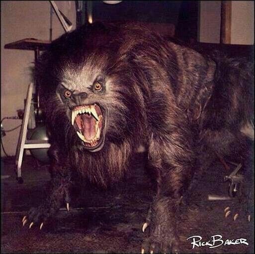 Here’s a few more behind the scenes shots, nothing rare but a few cool ones. The transformation scene is what made An American Werewolf In London stand out and still a masterclass in practical effects and make-up.  #AAWIL