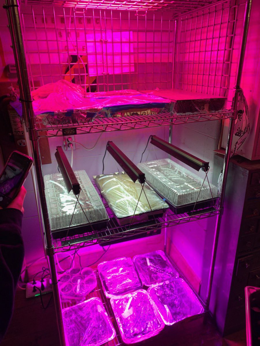 ᴡᴇɴᴏɴᴀʜ (@wenonahschool) on Twitter photo Mrs.Kay & <a href="/JamieDAndrea2/">Jamie D'Andrea</a> Spent the day on the east end learning sustainable farming practices and how to implement in the classroom.
<a href="/IslandHarvest/">Island Harvest</a>, Gabrielsen Farms & Greenport SD <a href="/SachemSchools/">Sachem Schools</a> <a href="/SachemEducation/">Erin Hynes</a> @SachemSuper <a href="/dgamberg/">david gamberg</a> #exploratorylearning #hydroponics Mrs.Kay & <a href="/JamieDAndrea2/">Jamie D'Andrea</a> Spent the day on the east end learning sustainable farming practices and how to implement in the classroom.
<a href="/IslandHarvest/">Island Harvest</a>, Gabrielsen Farms & Greenport SD <a href="/SachemSchools/">Sachem Schools</a> <a href="/SachemEducation/">Erin Hynes</a> @SachemSuper <a href="/dgamberg/">david gamberg</a> #exploratorylearning #hydroponics