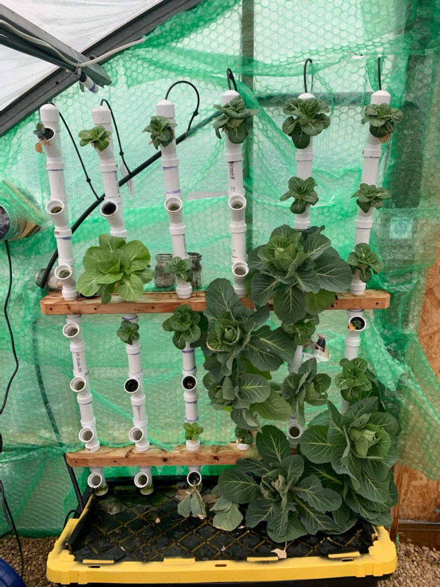 ᴡᴇɴᴏɴᴀʜ tweet media