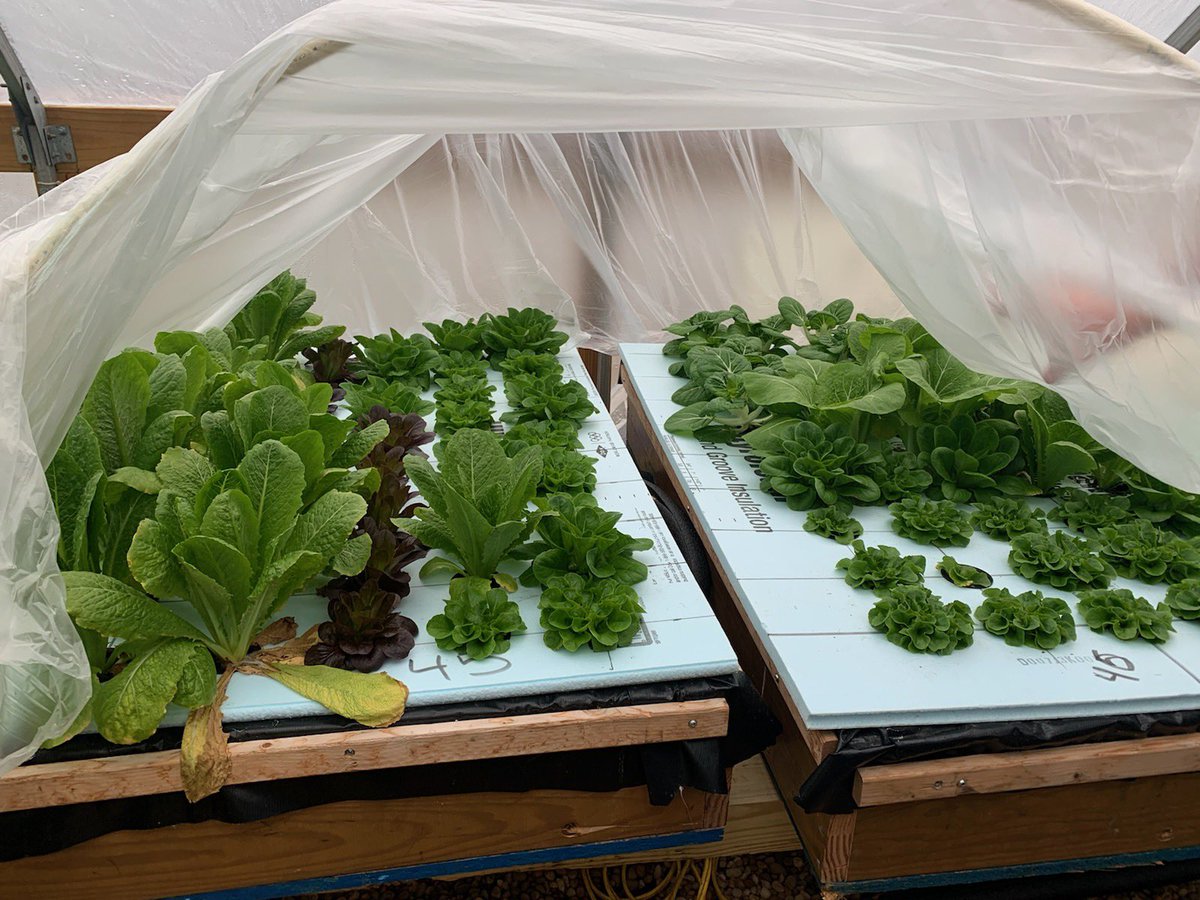 ᴡᴇɴᴏɴᴀʜ tweet media