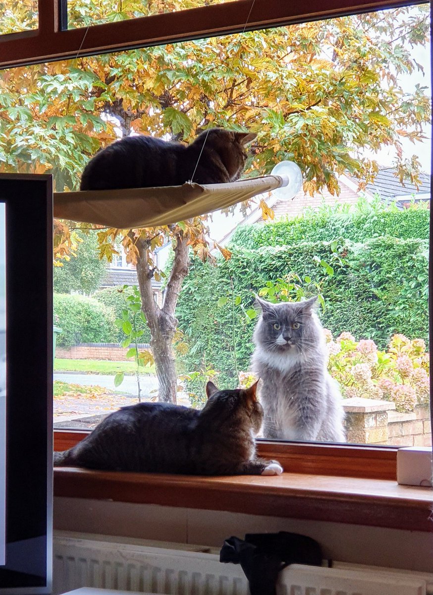 Paul Griffiths tweet media