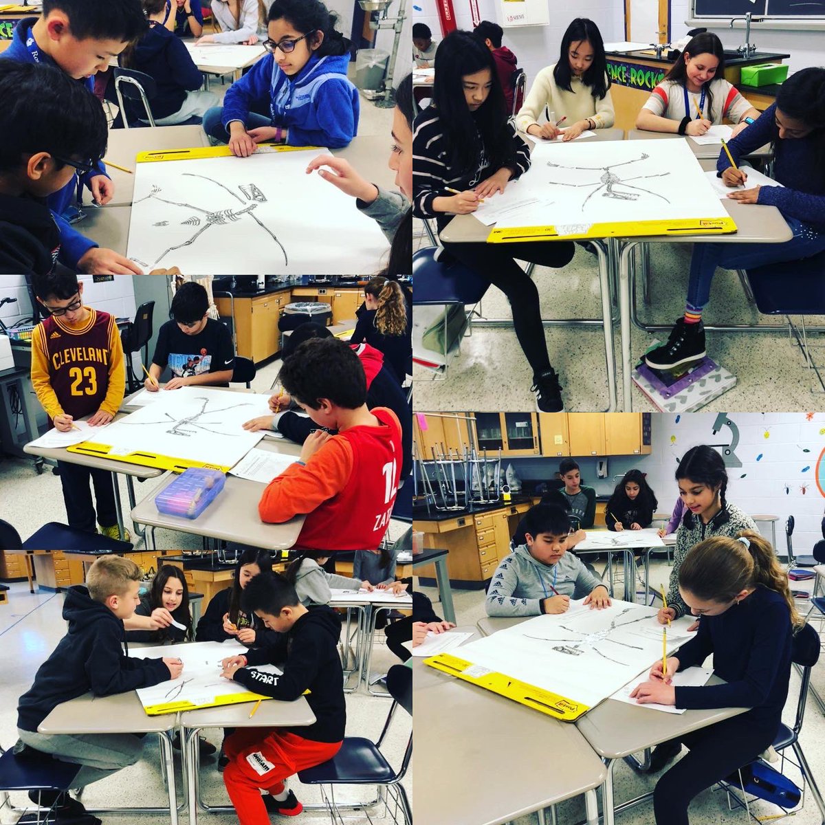 RoslynMS's tweet photo. #dinosaurs #bones #fossils #paleontology #RMSScience #RoslynSchools @cjohanson45 @m_goldspiel @DaveLaz1 @jsheehan927 https://t.co/lFyhVTDz5e