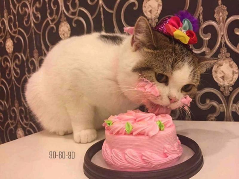 Talanika's tweet photo. ...не грустить.... https://t.co/ifEIR1DU8q