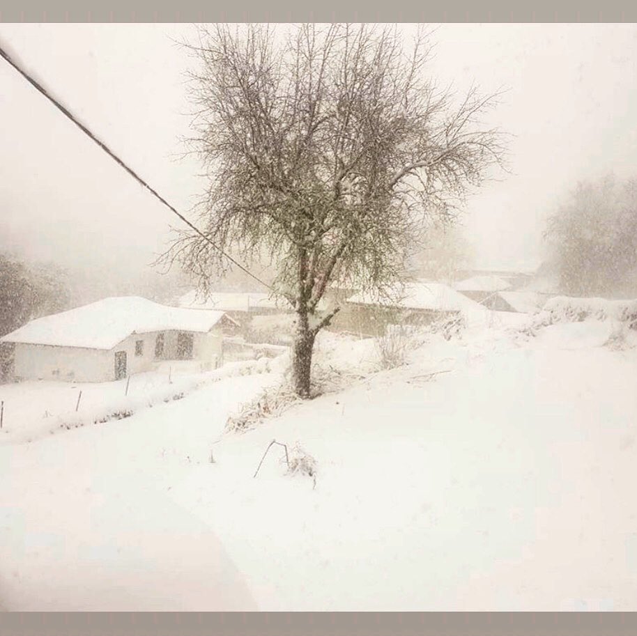 Gray_Kazz's tweet photo. Our next door neighbour has taken a photograph of a house in Bulgaria it’s looking very snowy and picturesque #bulgaria #snow #beautiful #travel #ruse https://t.co/hvYHBHezNV