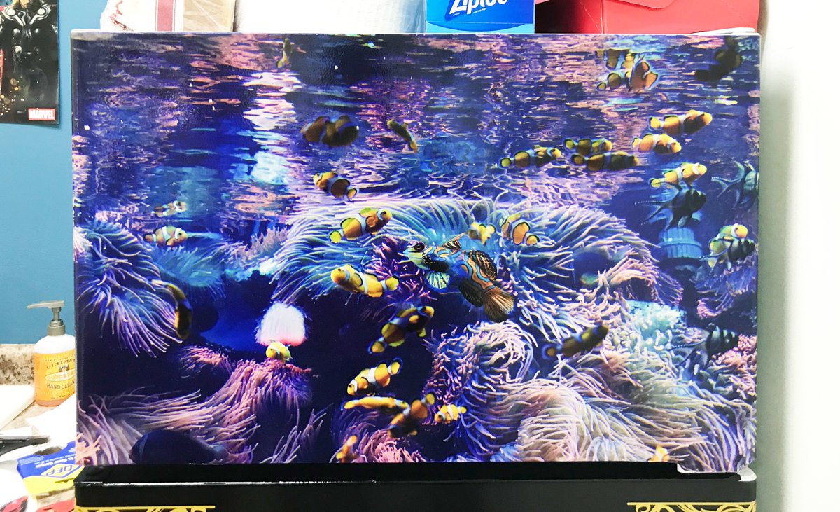 smartsignsmn's tweet photo. Give your office or den fridge some flair!

#CustomGraphics #CustomDecals #CustomVinyl #InteriorDecoration #VinylDecals #VinylGraphics #SmartSigns #SaltwaterAquarium #SaltwaterFishtank https://t.co/x40YG9jznq