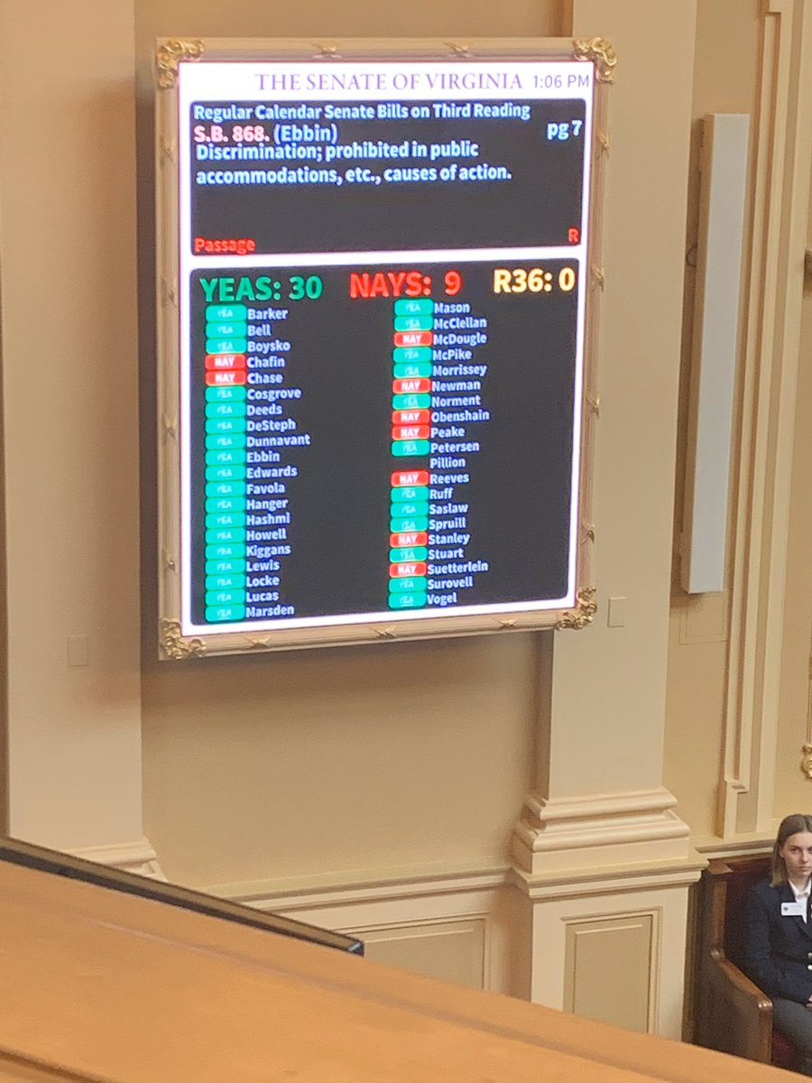 SarahWarbelow's tweet photo. Virginia just became the first state in the South to advance comprehensive nondiscrimination protections for the LGBT community! This moment wouldn’t have been possible without the support of my colleagues @HRC, our coalition partners, and Virginia’s pro-equality legislators. https://t.co/dGlEcd3B6V
