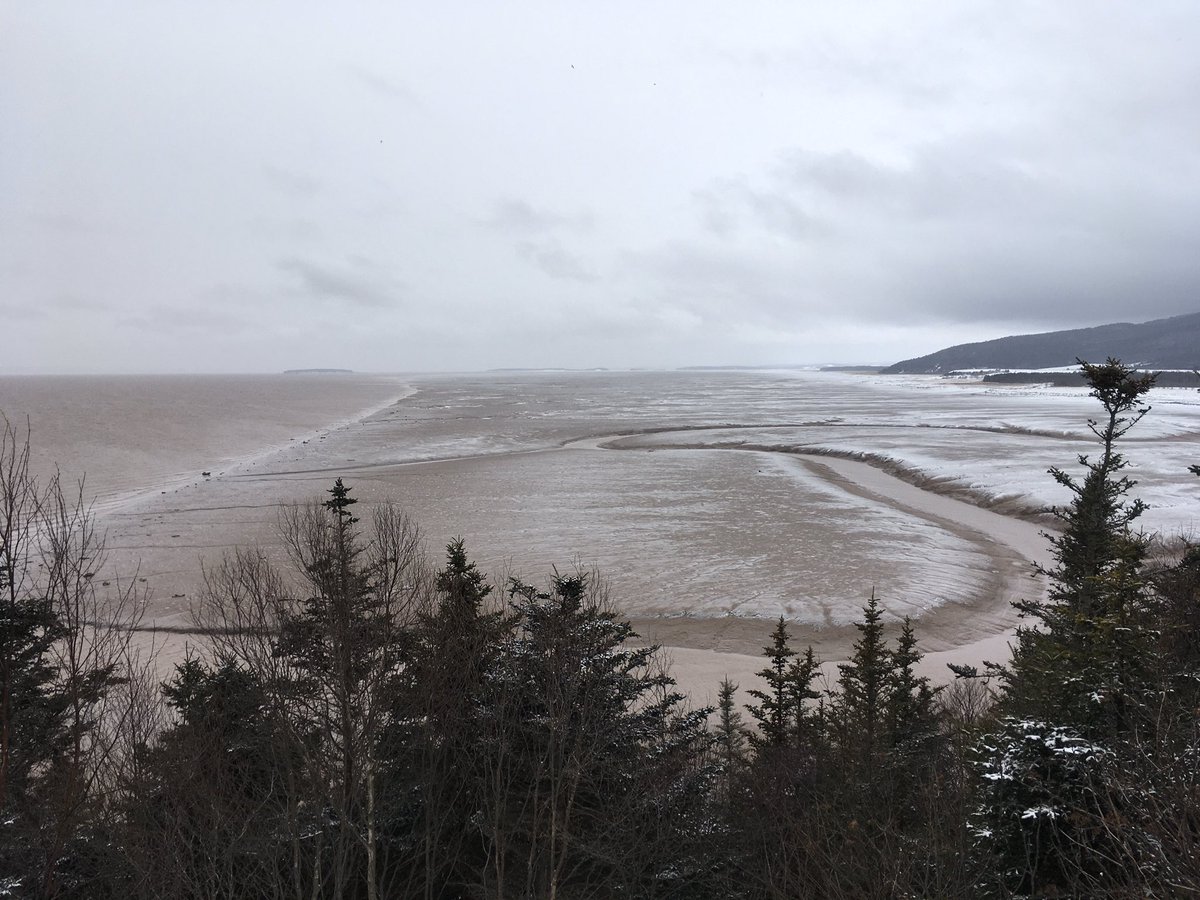 Guy_Theriault's tweet photo. The impressive tides and rock formations #flowerpots @hopewellrocks @DestinationNB #explorecanada #ExploreNB #WinterTravel #WinterExperiences https://t.co/gqAOavHxzx