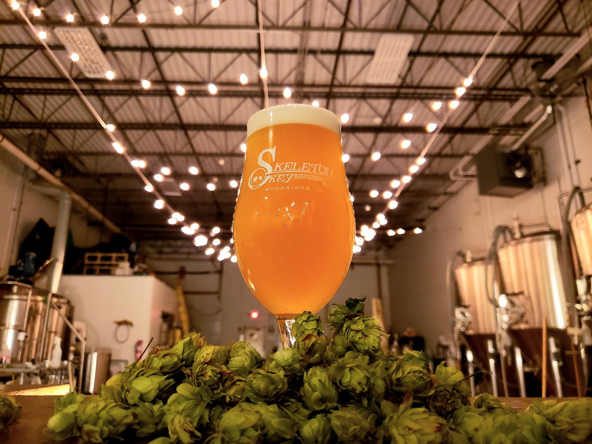SkeletonKeyBrew's tweet image. Stop in tonight for a taste of our new Hazy IPA, ILL GUFO!!! 
Absolutely packed with Galaxy and Vic Secret hops; juicy, tropical and just the right amount of bitterness for balance 😎