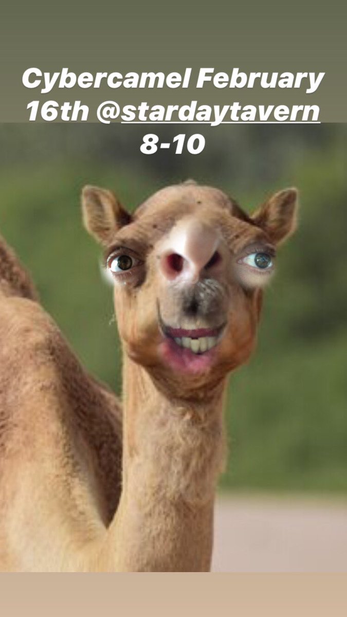 Check it out twitters