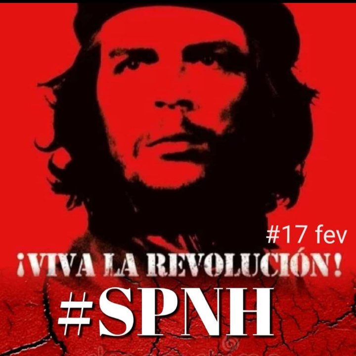 tchouk0's tweet image. 