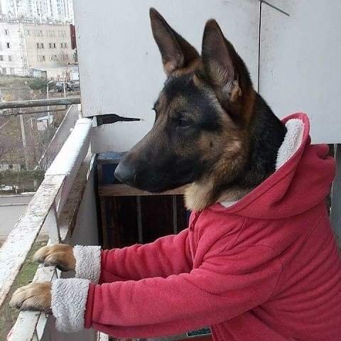 Talanika's tweet photo. ... ещё февраль ... https://t.co/ExmBGd9nsD