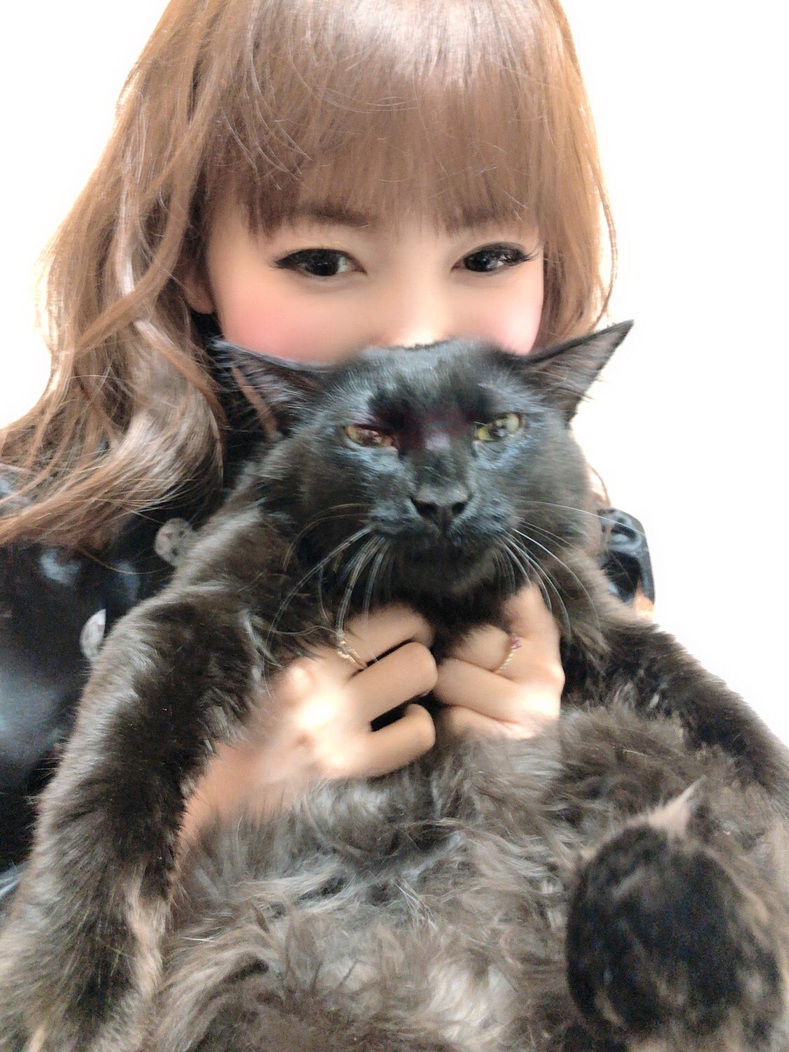 メルちゃん おせわだいすきメルちゃん | パイロット | オセワニ