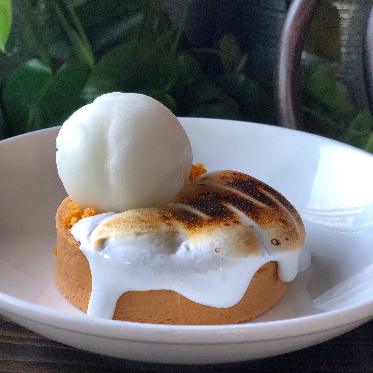 restaurantavo's tweet photo. 🍋 Meyer Lemon Tart w/ Toasted Marshmallow &amp; Lemon Ice https://t.co/NV2Q3Gi5Ok