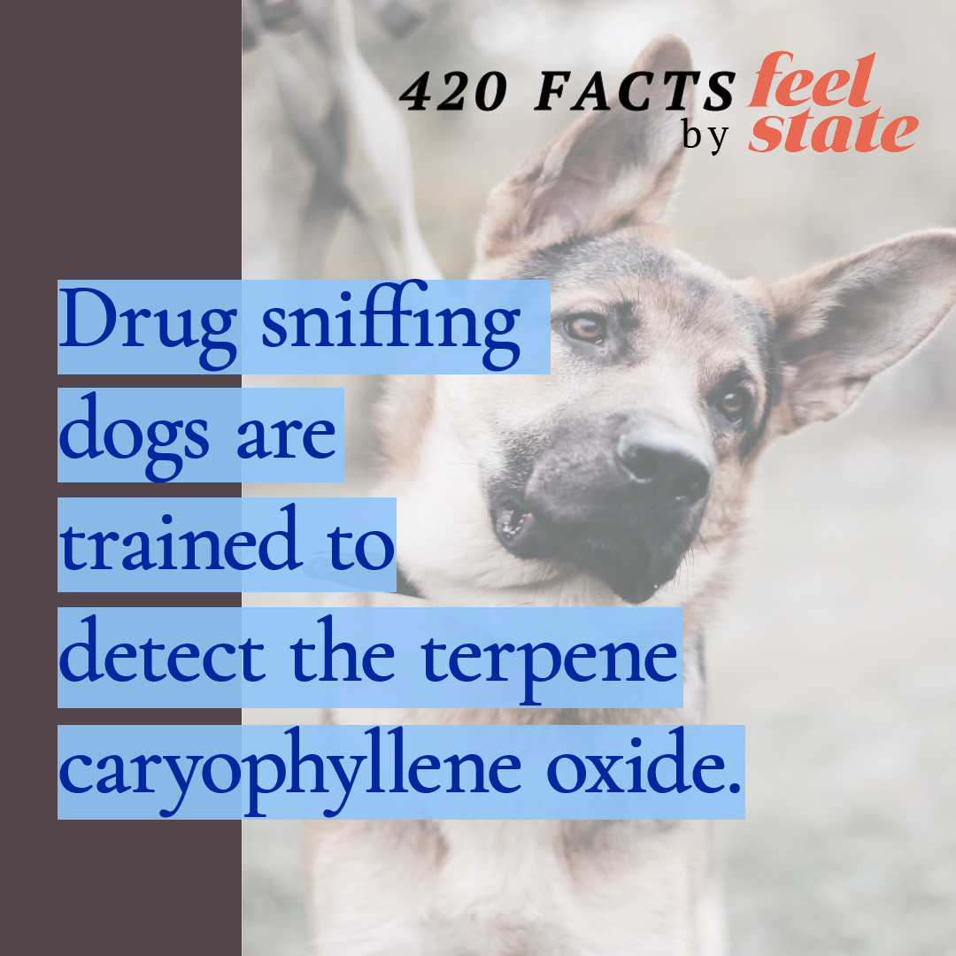 Just a little fun fact!