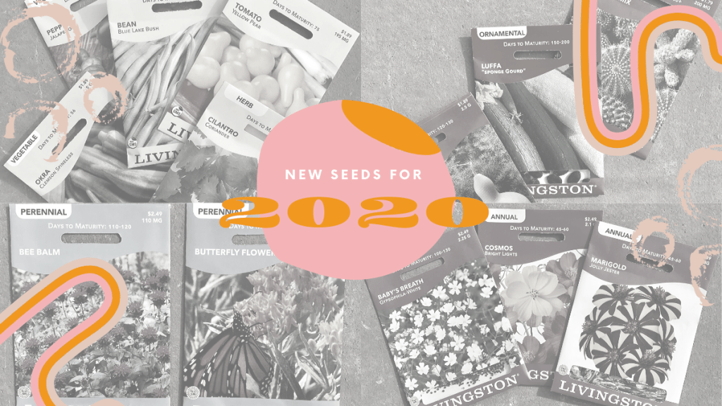 JackFrostGarden's tweet photo. In today's post, we talk about new seeds that we're excited to grow for our 2020 garden season! Vegetables, herbs, annuals, perennials, and fun ornamentals! https://t.co/7QhPy5XgtV https://t.co/nSdXYgjURm