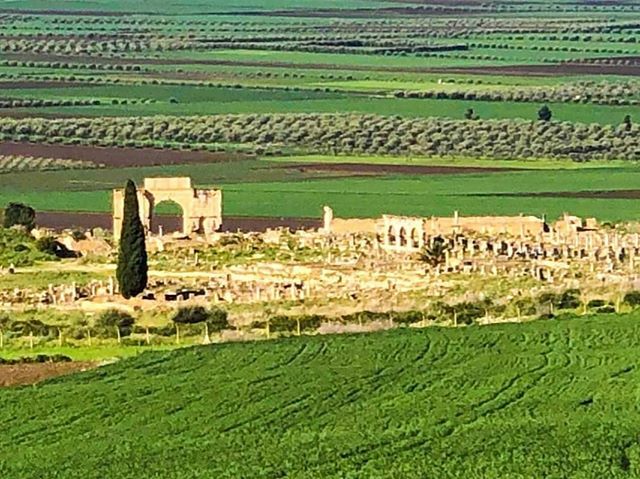 Dar Zerhoune tweet media