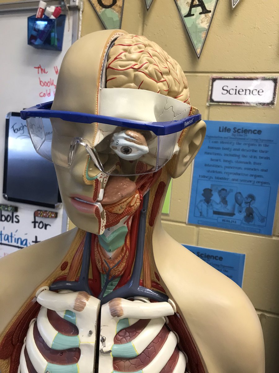 EmilyHarmsen's tweet photo. Students got to be surgeons on their “human cadavers” this week! #bigidea14 #humanbody @MsMahler_OCPS @RyanCarlsonOCPS @LockhartesO https://t.co/qAgSMgPBGV