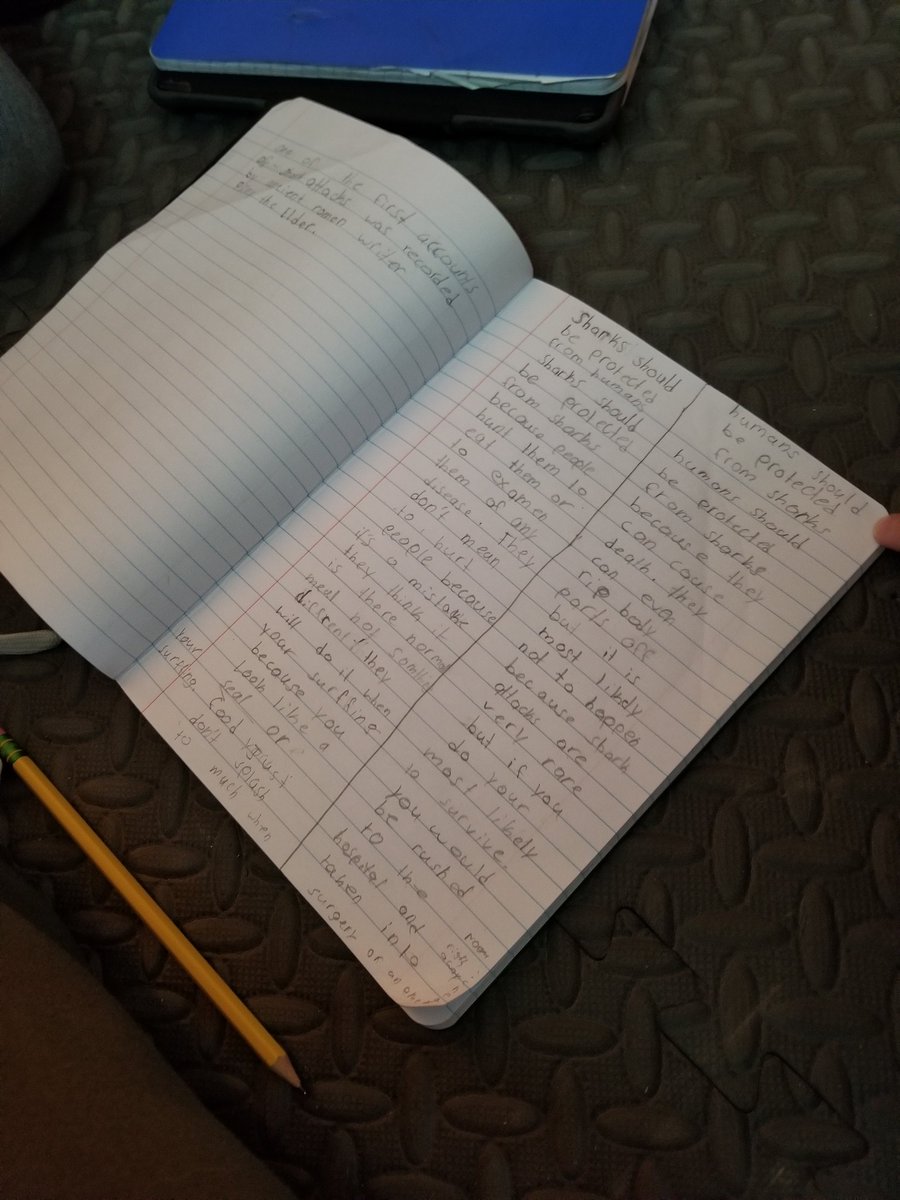 Chelsea Wilson tweet media