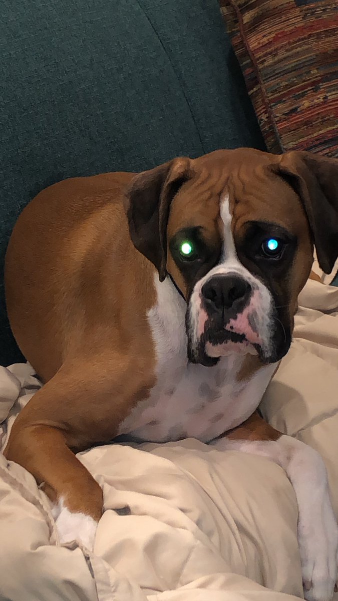 googletricks4's tweet image. haiii im new plz like and follow🥺