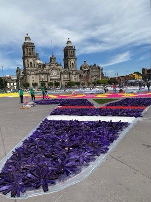 TV4NotiOficial's tweet photo. 🛑#Cultura| Artesanos de Uriangato llenan de color y tradición el #Zócalo de la #CDdeMex, con el tapete monumental #LoViEnTV4 @IECGuanajuato @gobiernogto https://t.co/fwyrH6EtN0