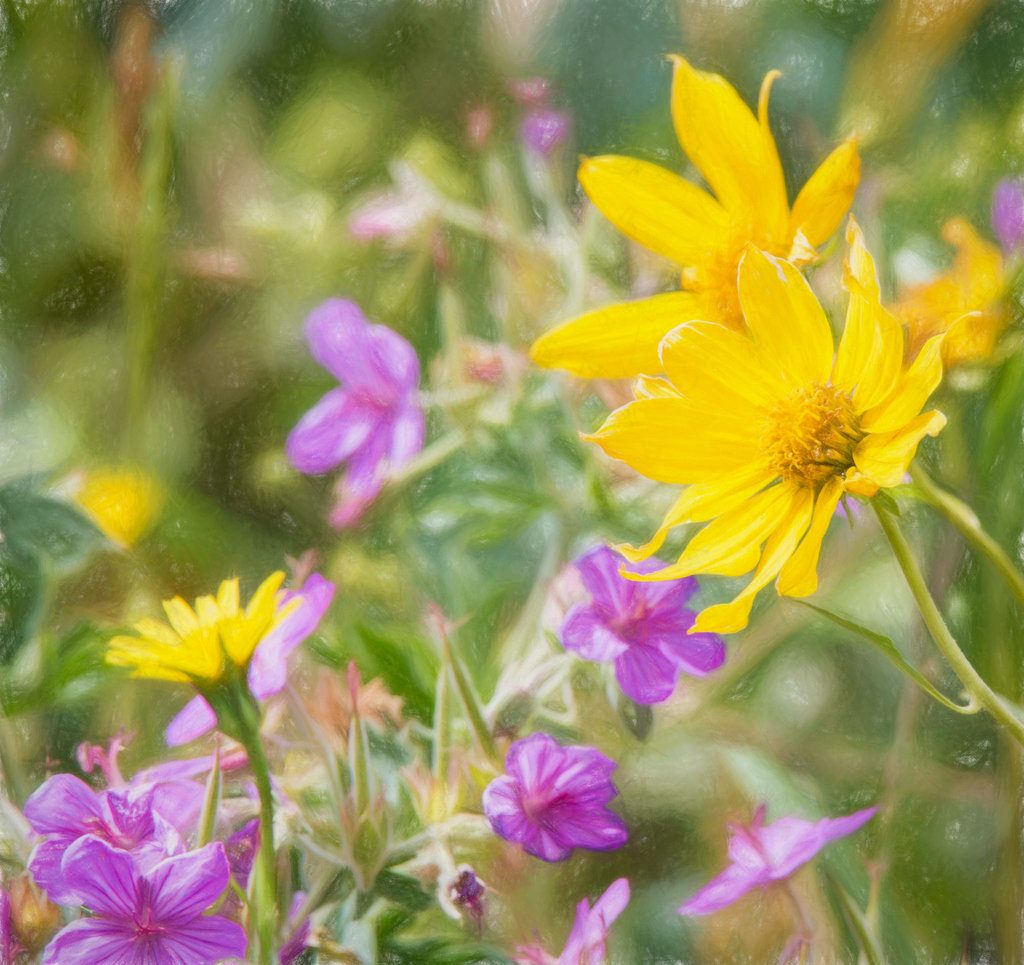 DestYellowstone's tweet photo. Start planning your West Yellowstone, Montana spring adventure! https://t.co/0rT0nnXyl2 has all the information that you need. We hope to see you here! Photo by Carolyn Fox. #WestYellowstoneMTLove #HeartOfYellowstone #WestYellowstoneMontana #WestYellowstoneMT #WestYellowstone https://t.co/dkoTTk9IQM