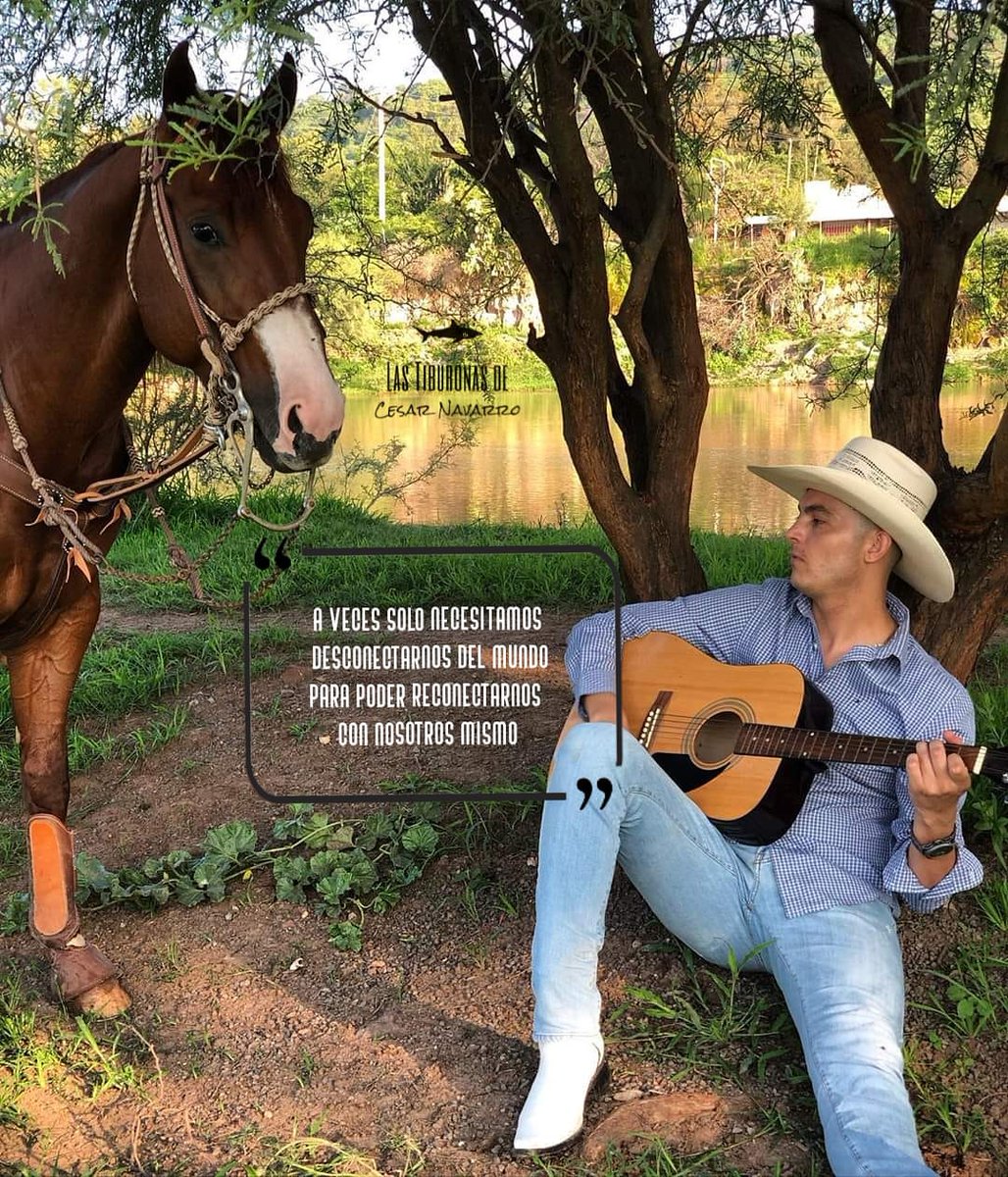 GarmaMily's tweet photo. ; A veces solo necesitamos desconectarnos del mundo para reconectarnos con nosotros mismos✨

#DeLoBuenoLoMejor 
@cesarnavarroa 🦈
@teamtiburonas 💕 https://t.co/xblDPrCmdp