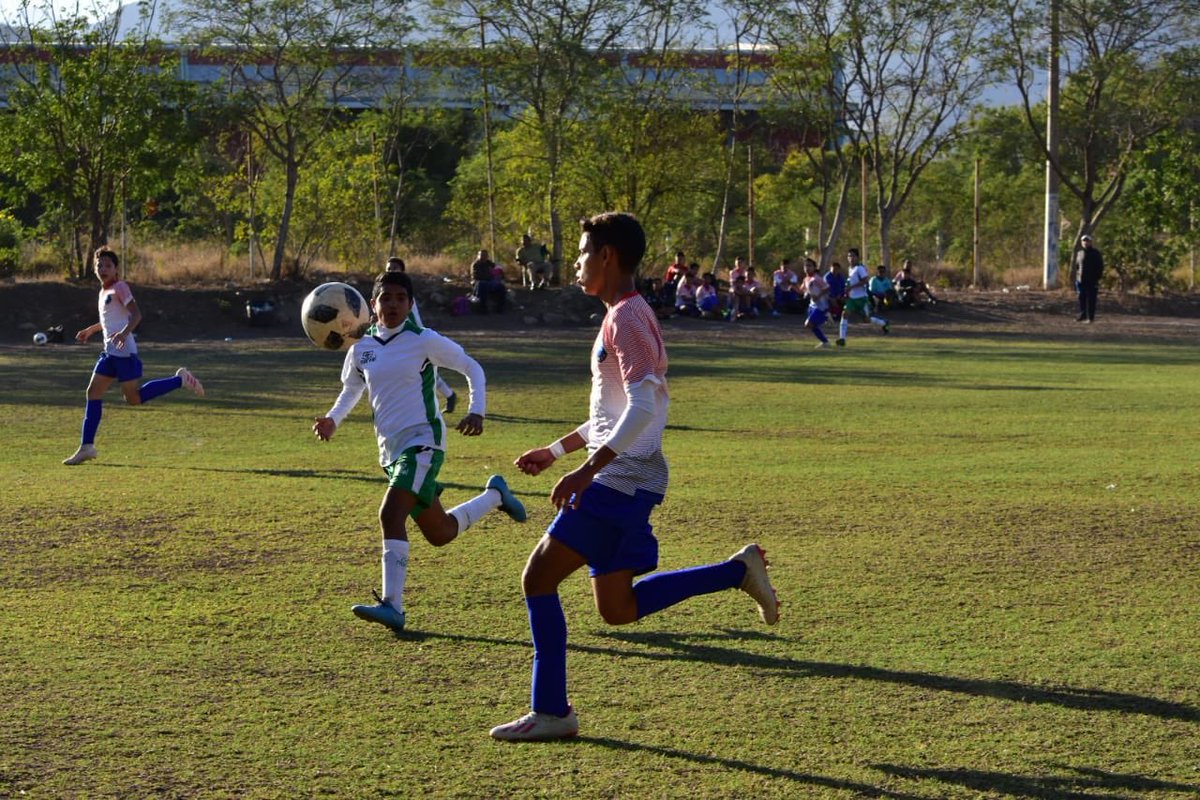 CFCorrecaminos's tweet photo. #CopaUAT
Medio Tiempo
Categoría Bip Bips.
Correcaminos 3-0 Reforma.
Categoría Juvenil A.
Correcaminos 1-3 Gunners.
🔵🟠 ¡A darle Correcaminos! 👊🏼
#AquíPuroCorrecaminos #PorqueNosHacenVibrar https://t.co/jDm5qmOGNK