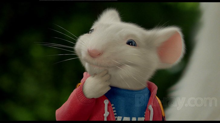 Мышата из золушки дисней. Племянник мышонка джерри. Как зовут мышонка. Стих про мышку. Как зовут мышонка.