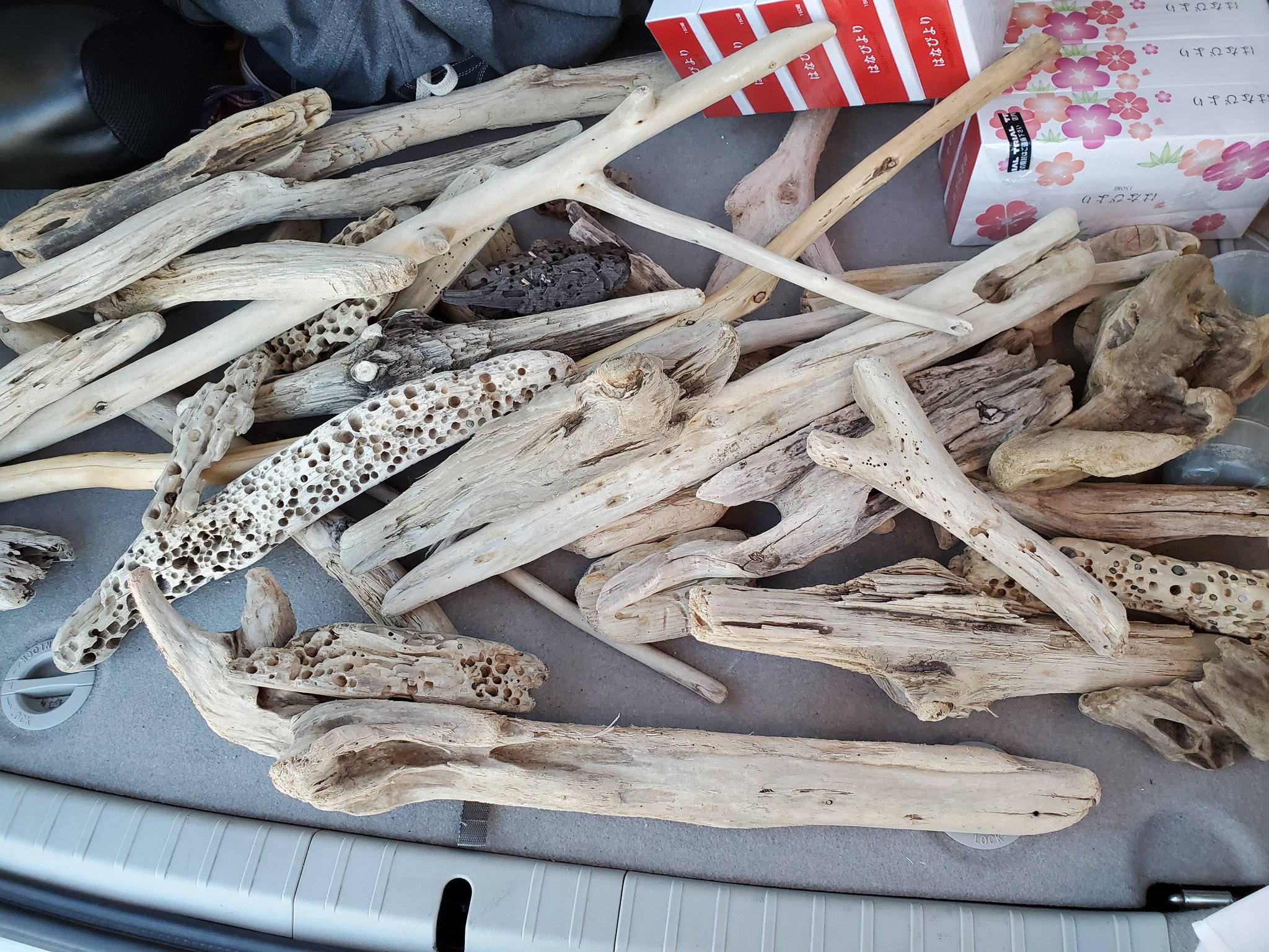 えみぴょん 流木を拾い に海へ 埼玉県ゎ海がないので茨城県の大洗までドライブです 風邪が強くて寒かったです でもたくさんの流木に満足