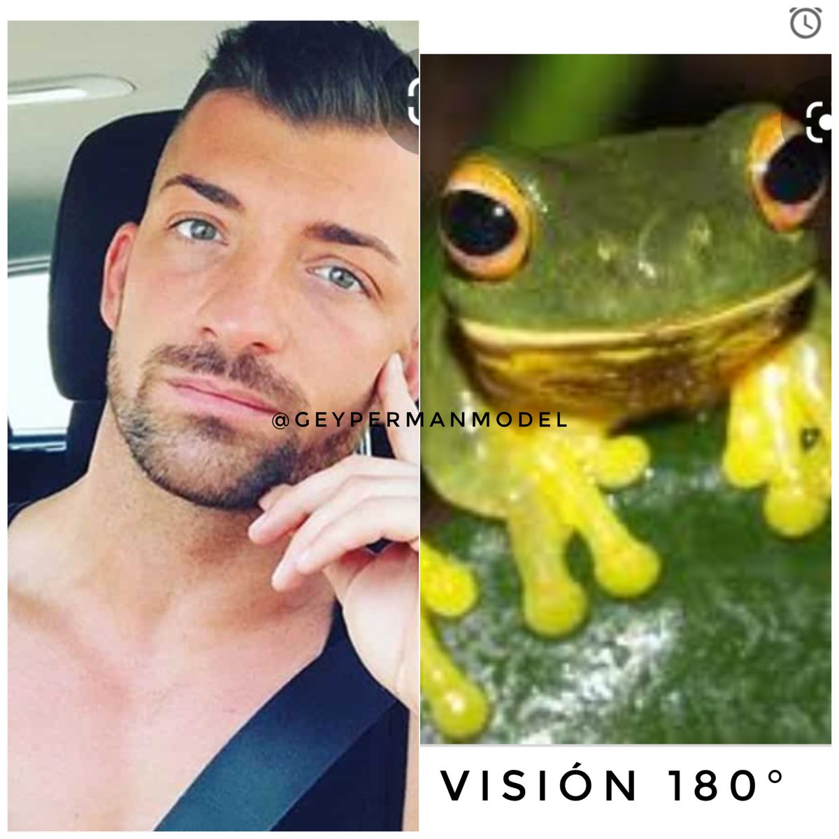 geypermanmodel's tweet photo. Mis ojos tus ojos. #LaIslaDeLasTentaciones https://t.co/8UZb0S7xEL