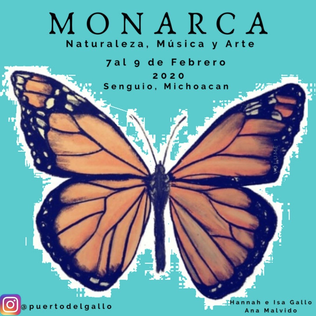 vinilerasmx's tweet photo. #AgendaVinilera También el sábado 8 nos vamos hasta #Michoacán para un festival con causa que se realizará para recaudar fondos con la finalidad de lograr la bioconstrucción de un aula mixta/biblioteca 🍀🍀 - La música estará a cargo de #Hously y @errantestrella 🌱 https://t.co/Fl9cchz69P