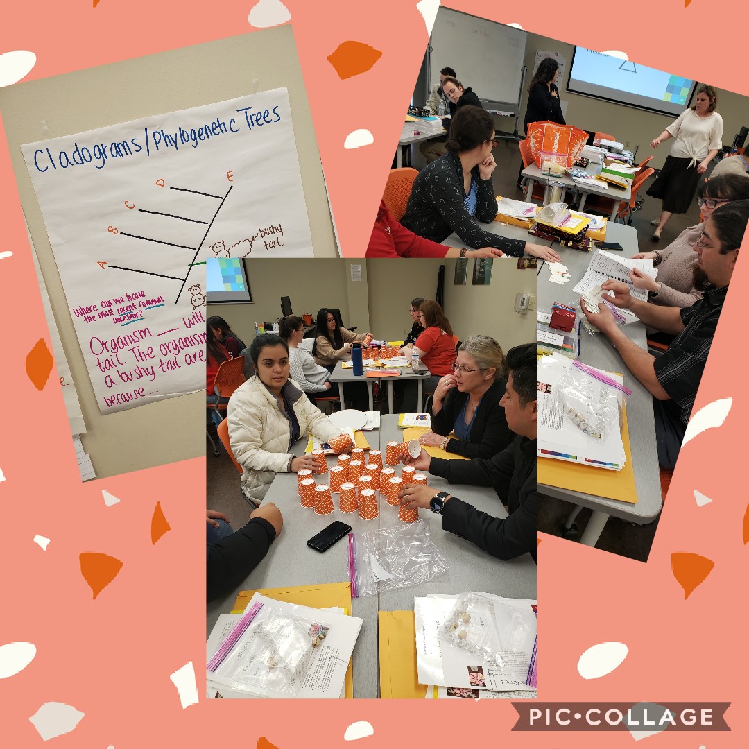 SAISD_Science's tweet photo. A huge success today at our Biology EOC PLN! Teachers walked away with a box of games and manipulatives to use in their classrooms with strategies on how to support their English Learners. #makentake #eocready #engagement https://t.co/VD6kaiEBSS