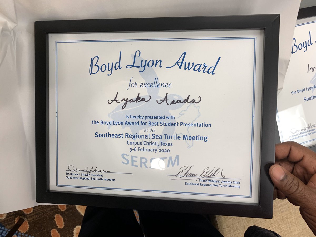 SeaTurtleCenter's tweet image. Ayaka Asada @AggiesByTheSea doctoral student in @DeptMarb wins the Boyd Lyon Award for best student oral presentation @SERSTM_2020 #SERSTM2020 for her work on leatherback predator avoidance. Congratulations.