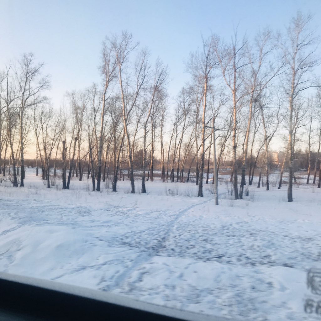 Overslept and woke up in the Amur region! It’s sunny and the smokestacks are spitting out dark gray. This must still be coal country and I would bet no one can afford to listen to Greta. Soon we will reach the Jewish Autonomous Region, the only one if it’s kind outside Israel.