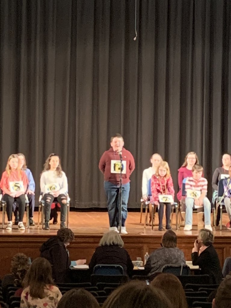 Rebecca Stein tweet media