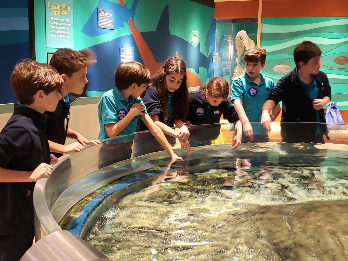 sbolnick5grade's tweet image. #davis5 Mcwane science center #birmingham