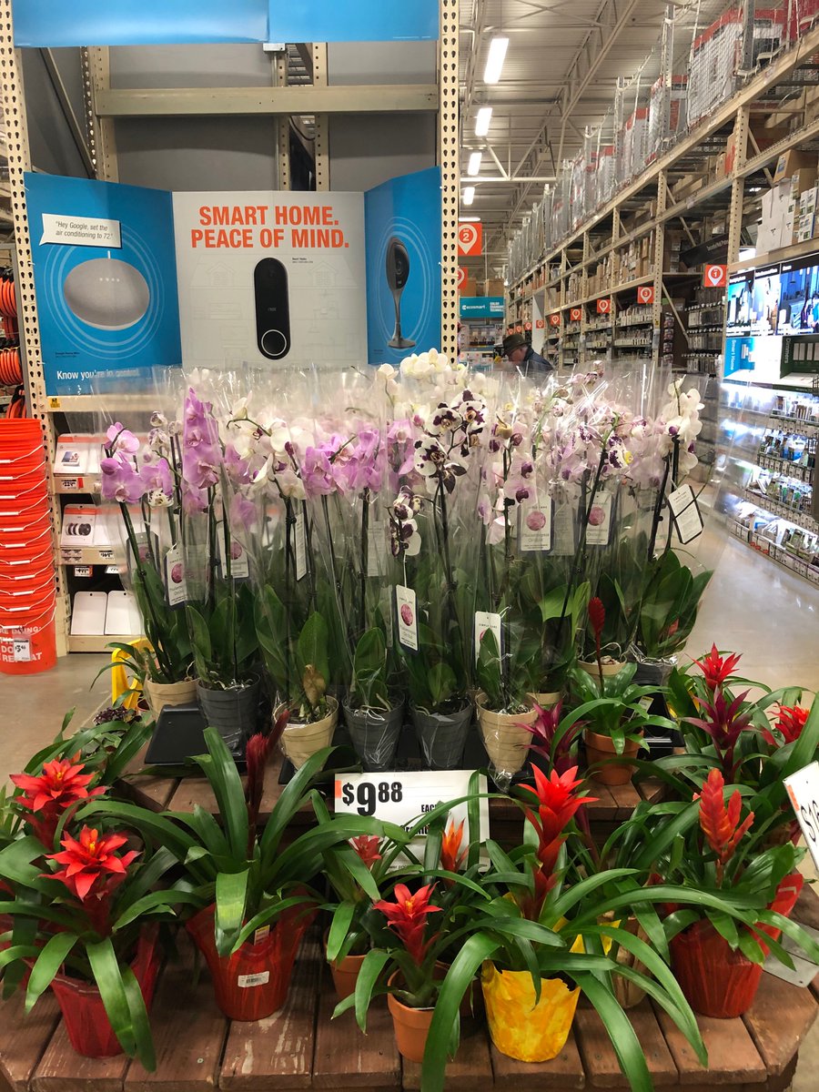 Bell Nursery (@bellnursery) on Twitter photo Home Depot 8429 Teays Valley WV looks fantastic and has all your Valentines gift ideas covered! <a href="/brettguthrie8/">Brett</a> <a href="/brianfrombell/">Brian Harrison</a> @thd_young <a href="/THDGeorgeC8429/">George Cox</a> <a href="/Pat_Fischetti/">Patrick Fischetti</a> Home Depot 8429 Teays Valley WV looks fantastic and has all your Valentines gift ideas covered! <a href="/brettguthrie8/">Brett</a> <a href="/brianfrombell/">Brian Harrison</a> @thd_young <a href="/THDGeorgeC8429/">George Cox</a> <a href="/Pat_Fischetti/">Patrick Fischetti</a>