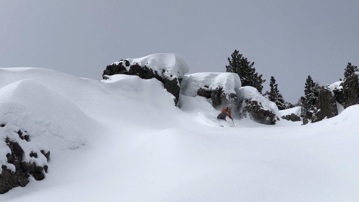 snowledge_co's tweet photo. Kenzie Morris finding some goods in the @squawalpine side country! PC: @rileybathurst
Tracked on #Snowledge #SnowledgeIsPowder
.
.
.
#skiing #freeride #ski #isitwinteryet #getoutside #explore #carve #tahoe #california #CA #sheshreds #pow #powder @VolklFreeski @DalbelloSkiBoot https://t.co/irIB3rGBiE