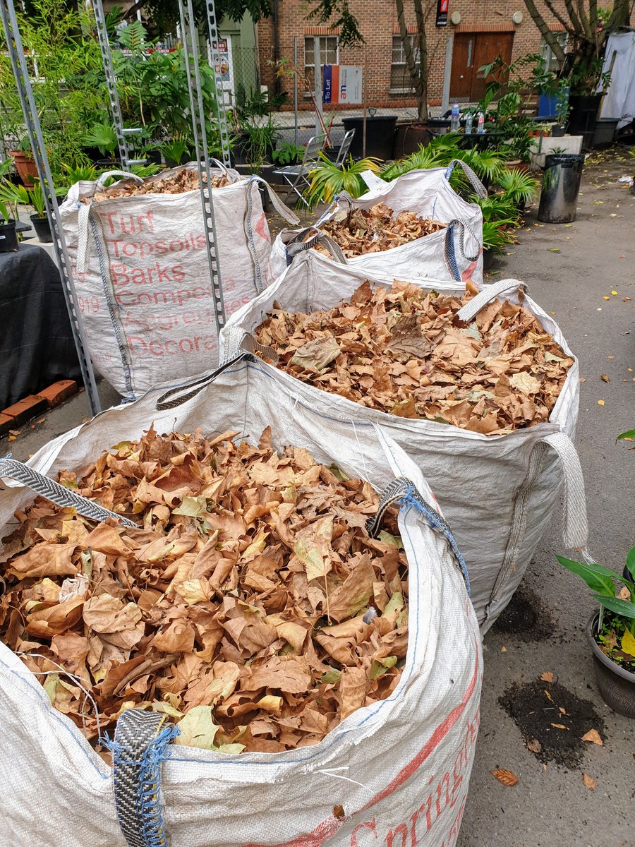 dumpy bags filled transported to nursery on the Shanks Pony Express trolley cart.  