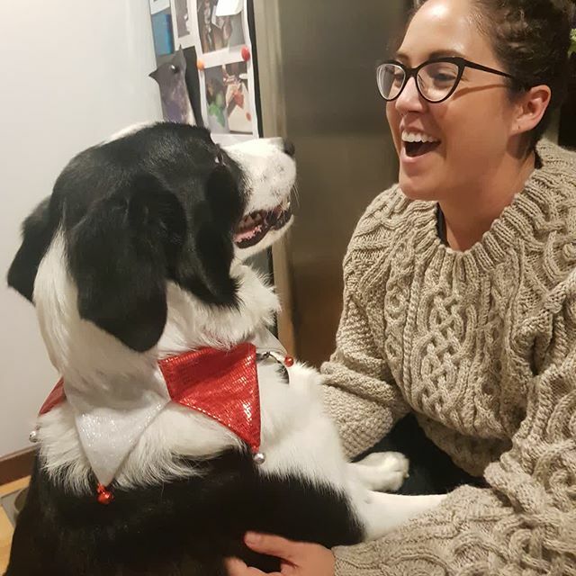 EatStTours's tweet photo. Happy birthday to this lovely lady! Jacq turns 30 today! Jester is very excited. Also, this lovely sweater was sent all the way from Canada and was hand knit by Jacqueline's Mum ❤ #HappyBirthday #TheBig30 #CanadianAbroad https://t.co/akpM7q6h3I https://t.co/QnxOxWbQ4I