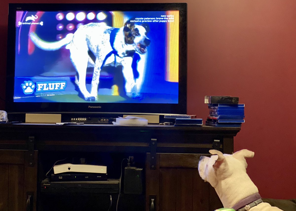 AugustMoonPie's tweet photo. Why don’t we watch this show more often?! https://t.co/xs4c0lkYFS