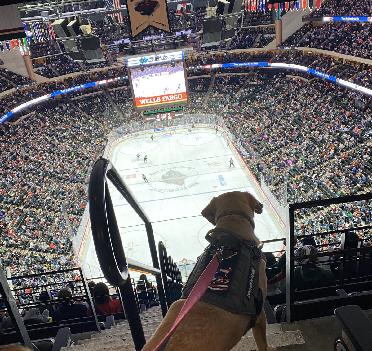 mnwildpup's tweet photo. More goals plsss 🚨🚨🚨 https://t.co/xVgN5exKaP