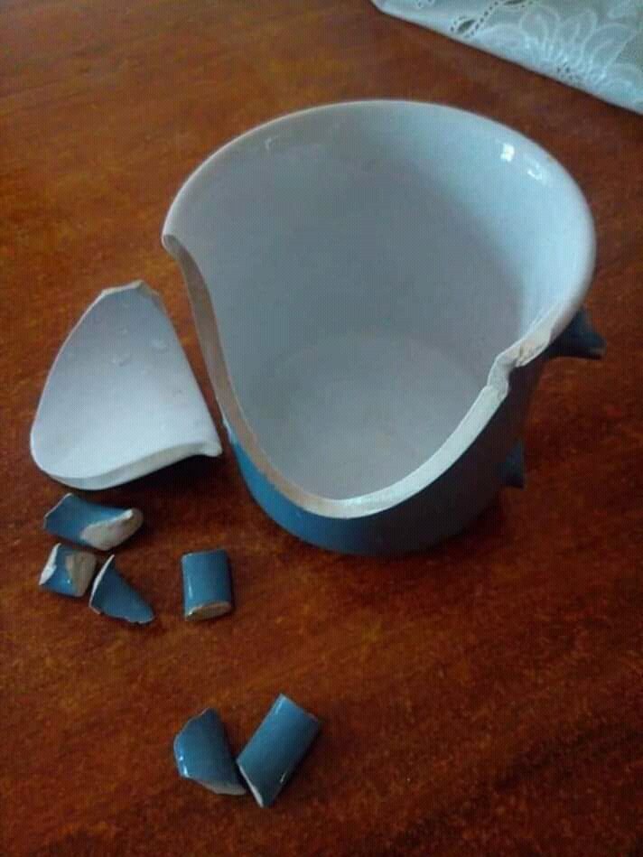 Nomvula Radebe 🍍 tweet media