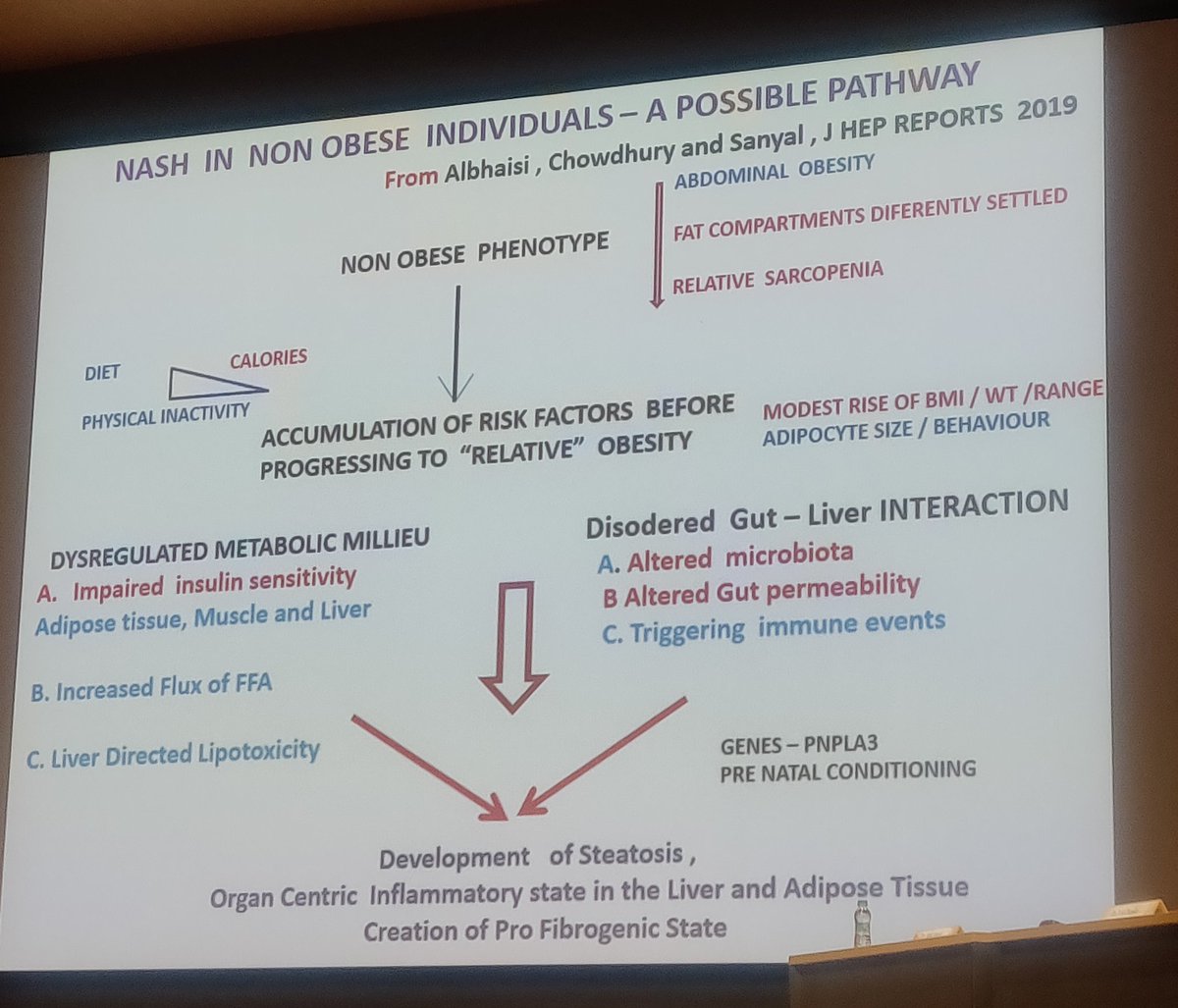 nash24x7's tweet photo. #LeanNASH , why is it important especially so in the #Asian context, talk by Dr #AbhijitChowdhury #Kolkata 
#RBF2020 @ZydusUniverse @Education_Nash @AllianceNASH @nashbiotechs https://t.co/ZCOPtQQiwR