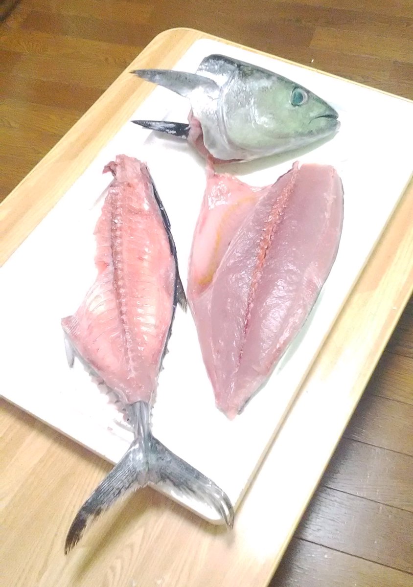 ট ইট র 明利英司 ﾐｽﾃﾘｰ作家 馴染みの魚屋さんから いまマグロが安いですよ とのご連絡をいただき１本買ってみた いわゆるメジマグロで 黒マグロ 本まぐろ の若魚 西日本では横輪 よこわ とも呼ばれる なかなかの大きさで 腹身には脂が乗りはじめて