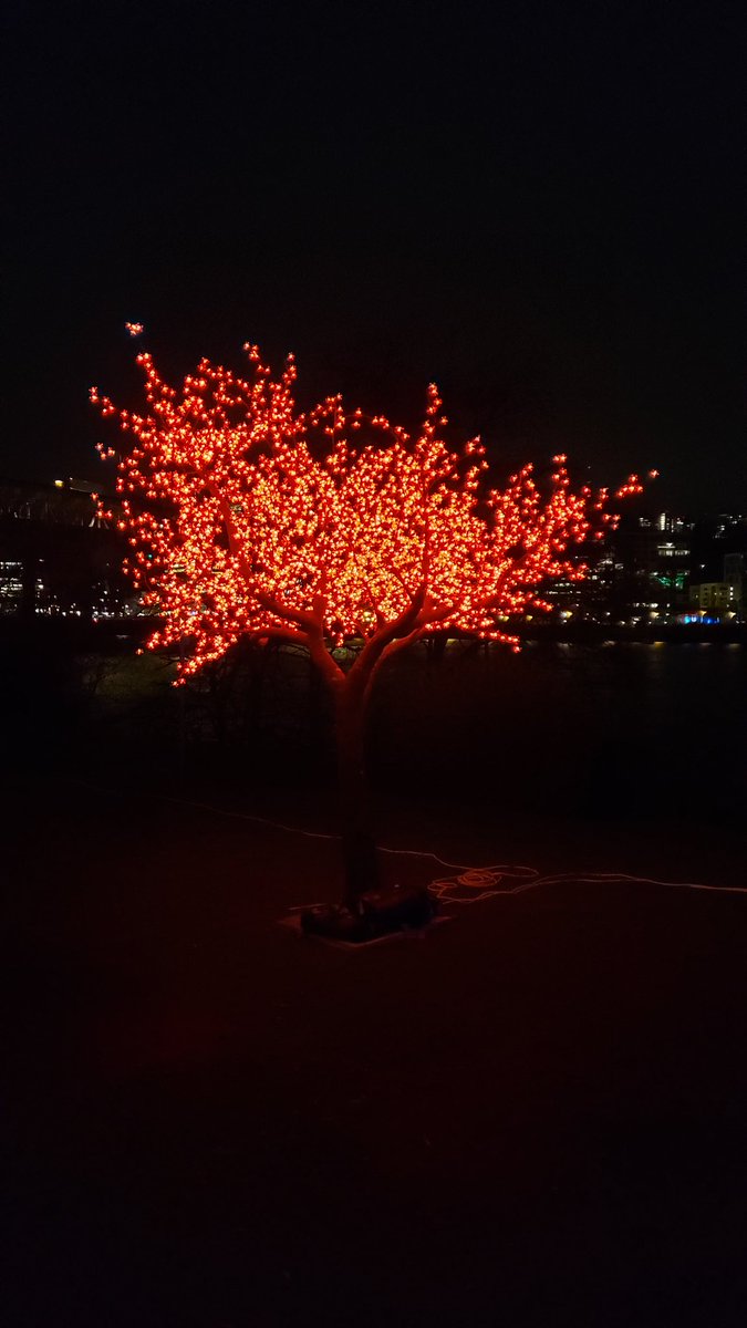 ericydauenhauer's tweet photo. #pdxlightfest is amazing again https://t.co/KvRoosplVd