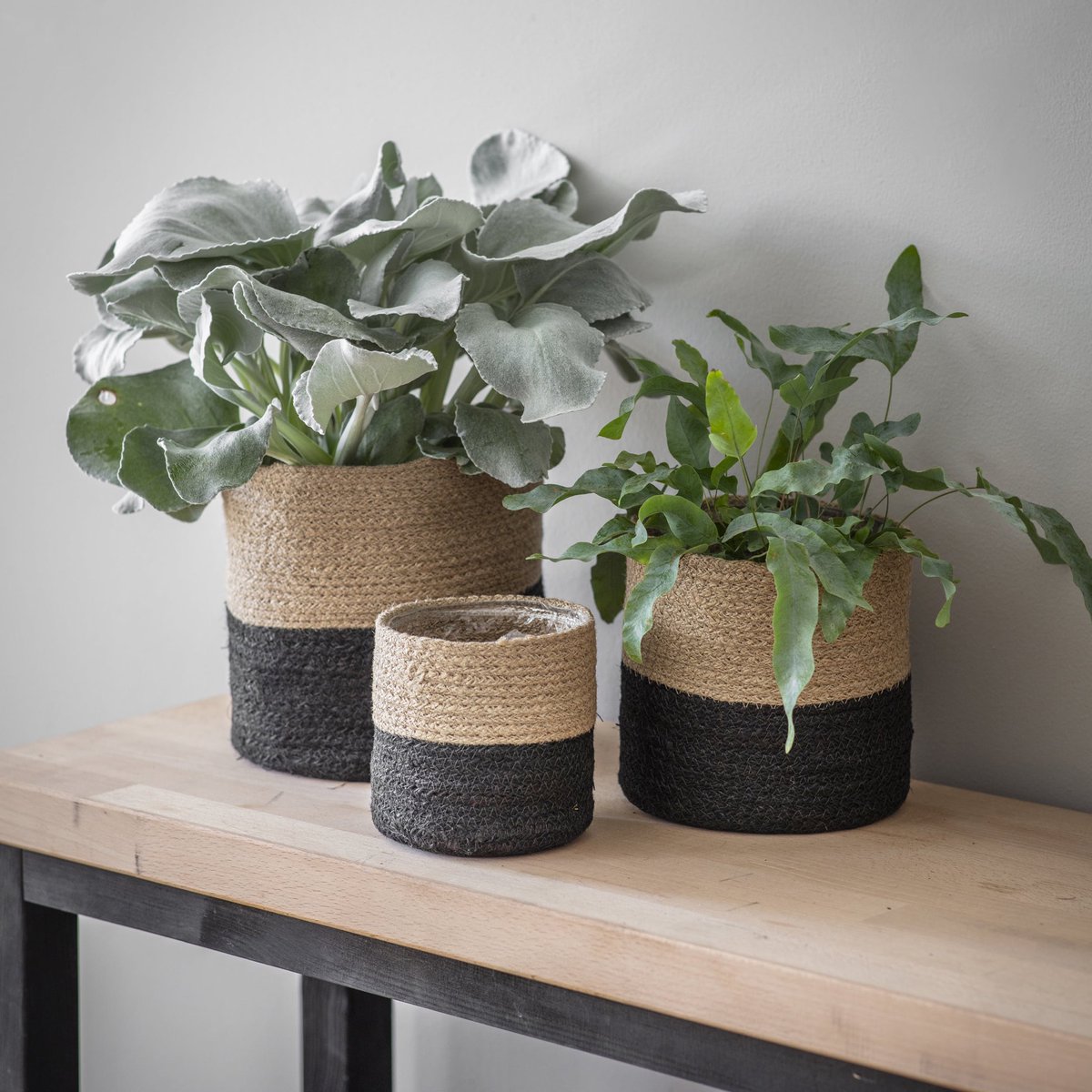 We’ve had a restock on our best selling jute planters. Beautifully hand-crafted with waterproof liners, plants and herbs can be suitably watered without mess.

These crisp #Spring mornings have got us excited for fresh greenery and subtle pops of colour 🌱